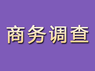 锦屏商务调查